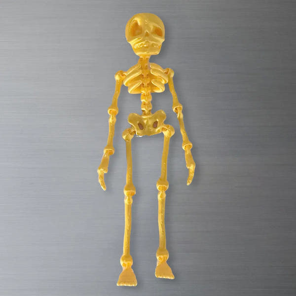 Whimsical Poseable Skeleton Magnet