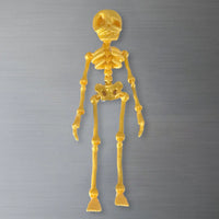 Whimsical Poseable Skeleton Magnet