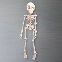 Whimsical Poseable Skeleton Magnet