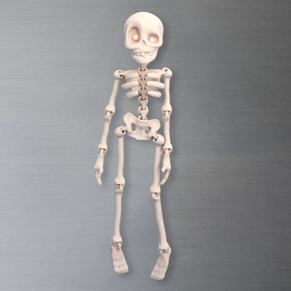 Whimsical Poseable Skeleton Magnet
